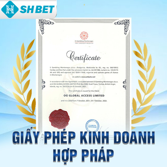 Giáy phép kinh doanh hợp pháp Shbet800