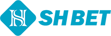 Shbet800